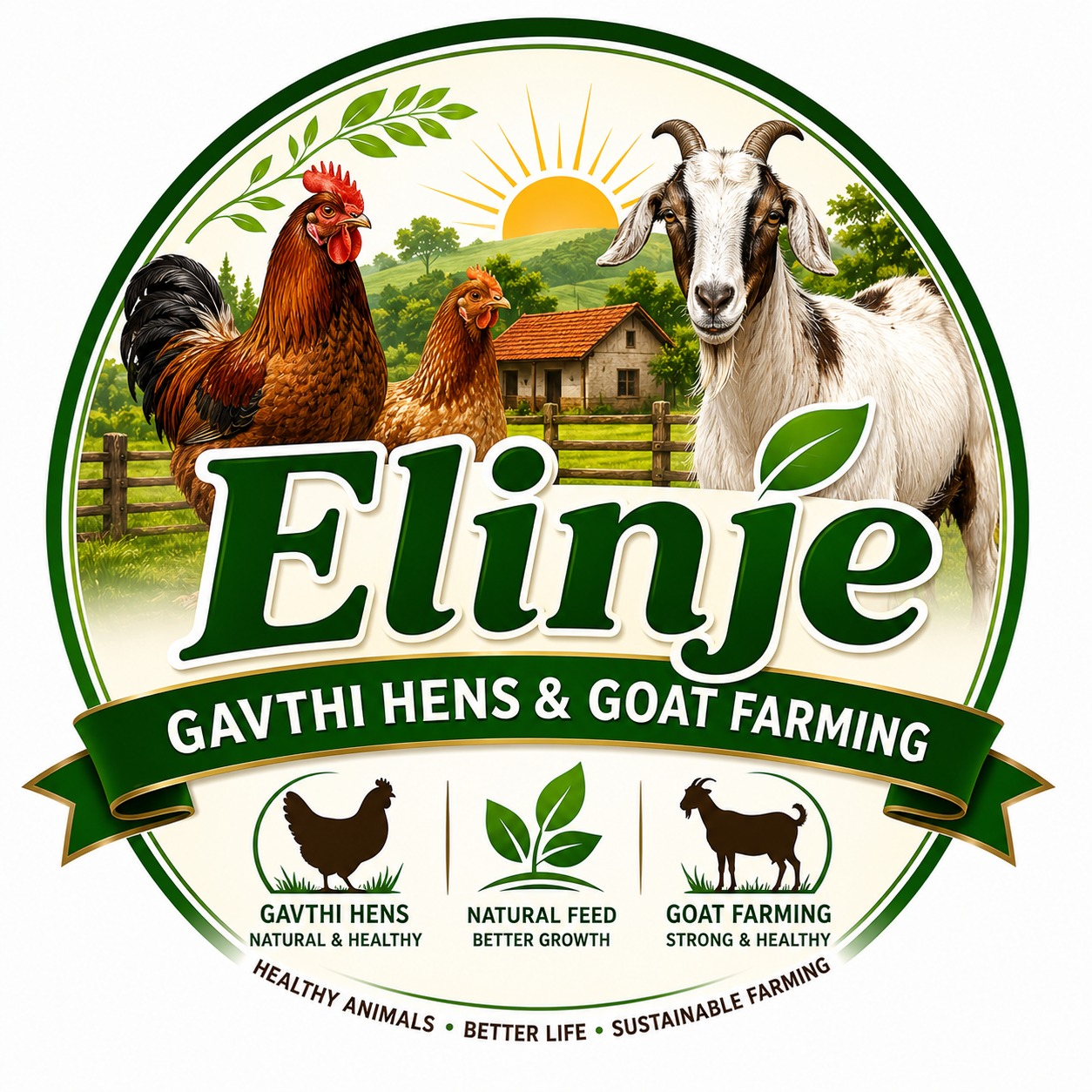 Elinje Gavthi Hens & Goat Farming